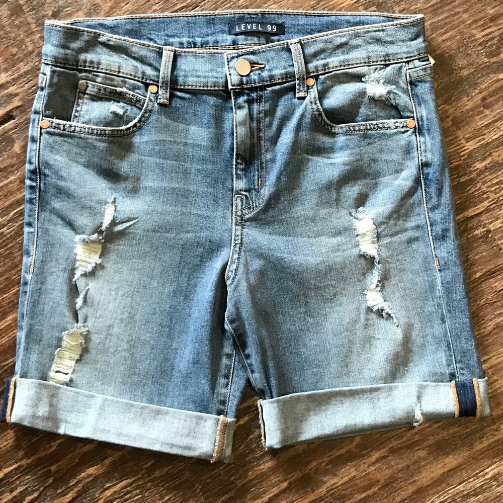 Anthropologie Blue Jean Shorts